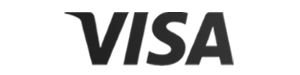 visa logo-2